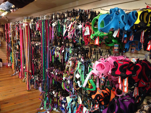 Pet Supply Store «Island Paws», reviews and photos, 630 Tarpon Bay Rd # 5, Sanibel, FL 33957, USA