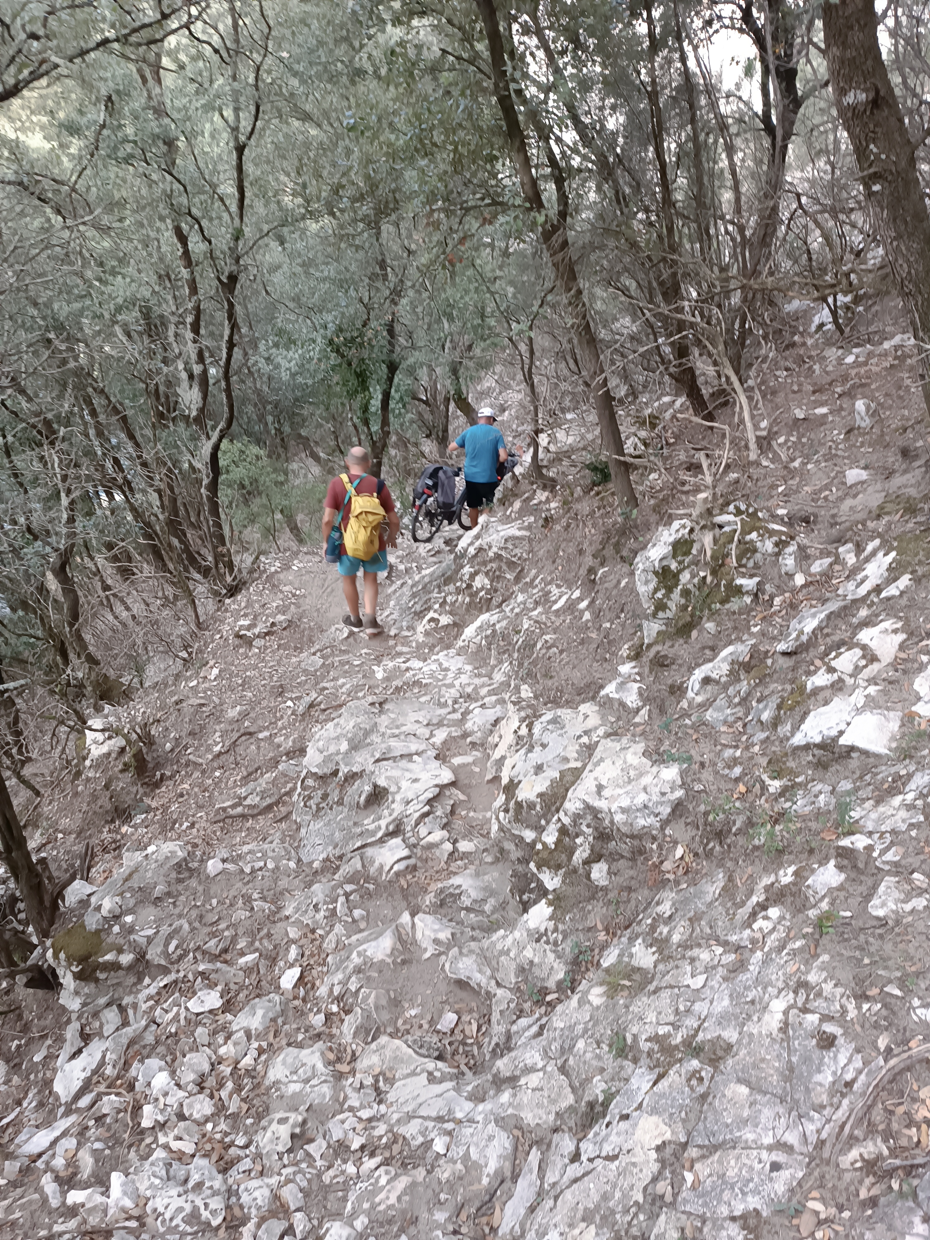 Photo n° 6 de l'avis de Vincent.I fait le 18/09/2023 à 15:45