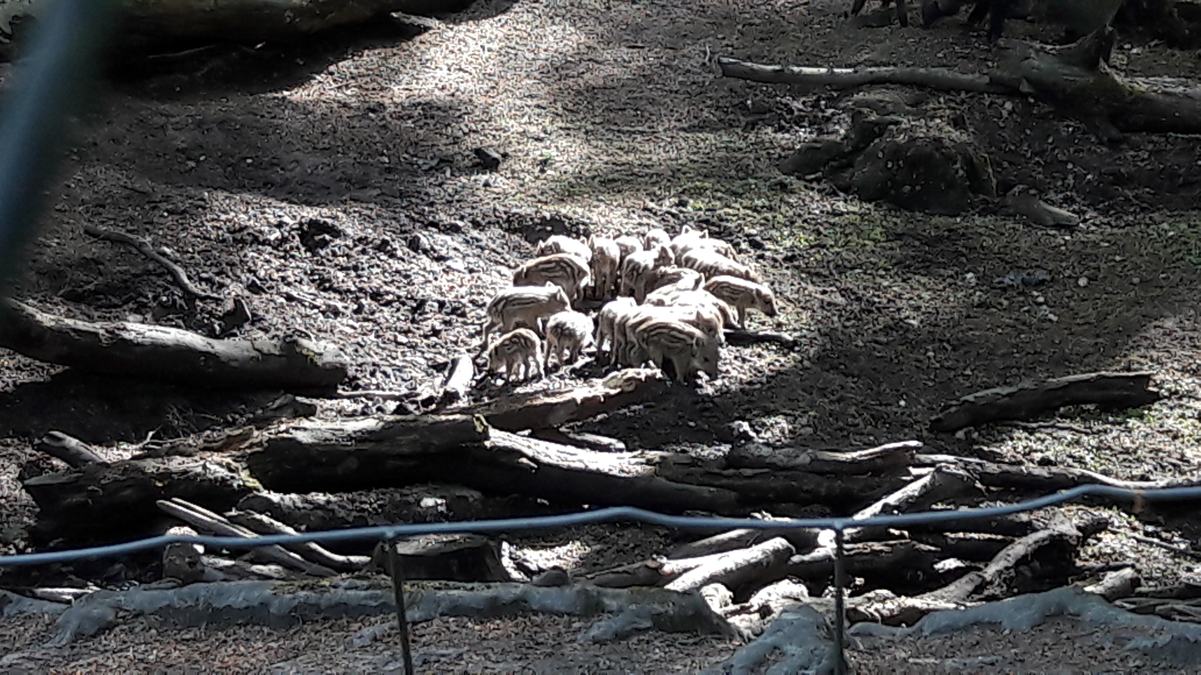 Photo n° 1 de l'avis de Lulu.o fait le 05/05/2018 à 16:53