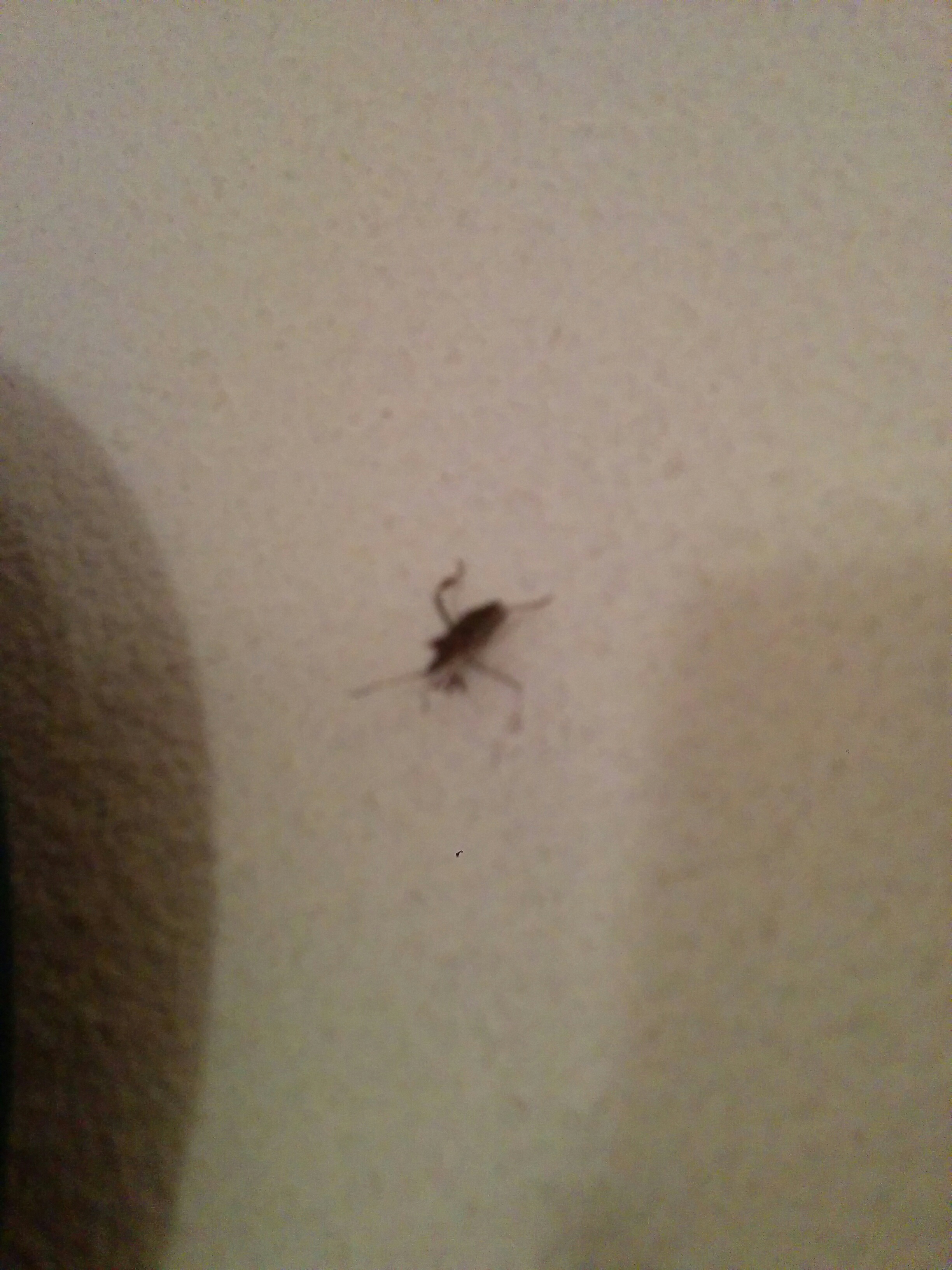 Photo n° 1 de l'avis de izarne.l fait le 03/01/2018 à 20:43
