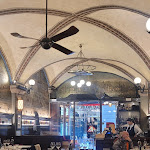 Photo n°1 de l'avis de Dharma.u fait le 07/02/2024 à 12:02 sur le  Antico Ristorante Paoli 1827 à Florence