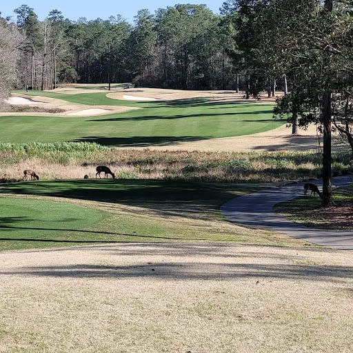 Golf Course «Grand Bear Golf Course», reviews and photos, 12040 Grand Way Blvd, Saucier, MS