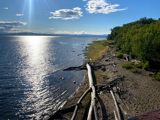 Moped Dealer «Scooter Stop of Charleston Moped Repairs», reviews and photos, 778 Folly Rd, Charleston, SC 29412, USA