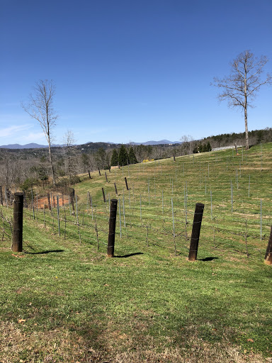 Wedding Venue «Blue Mountain Vineyards», reviews and photos, 184 Turkey Hl, Dahlonega, GA 30533, USA