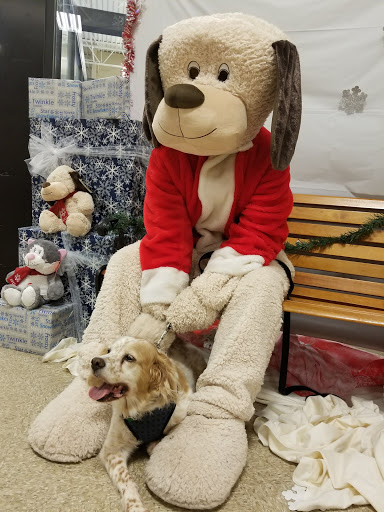 Pet Supply Store «PetSmart», reviews and photos, 351 N Frontage Rd, New London, CT 06320, USA