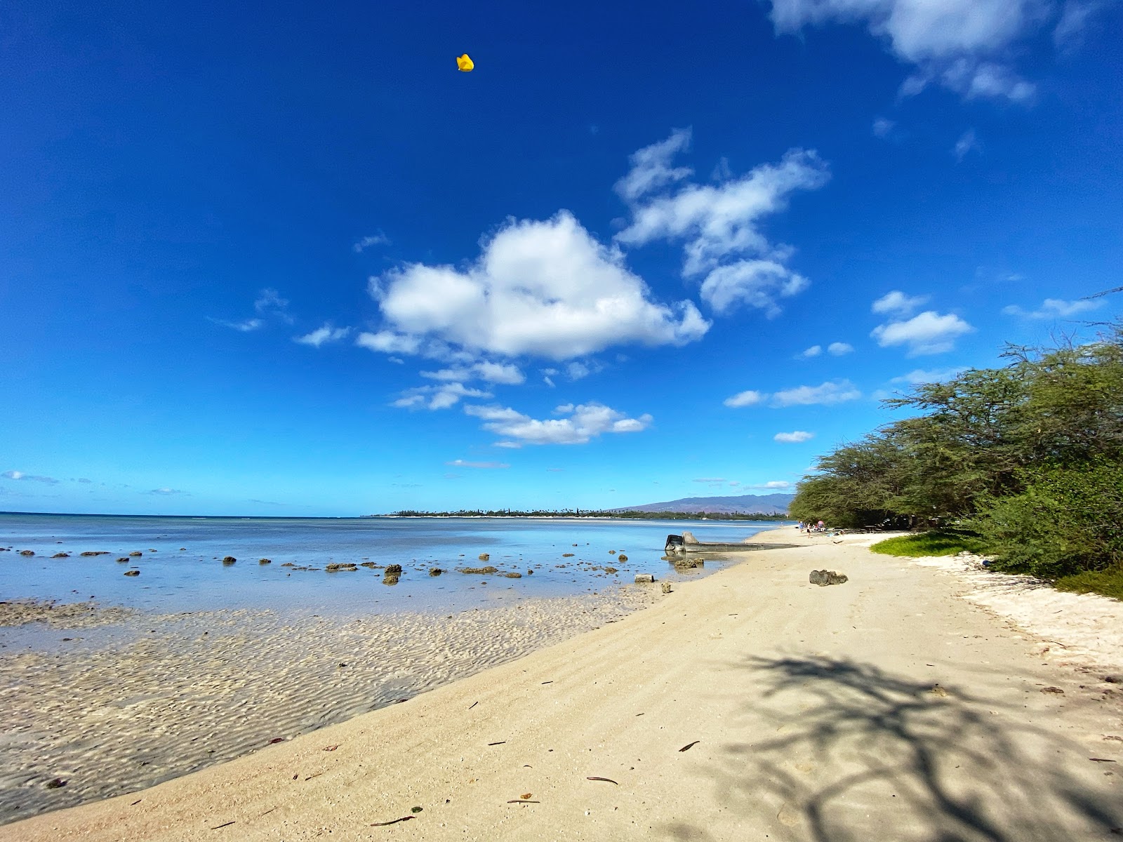 Fotografija Kamehameha Beach z svetel fin pesek površino