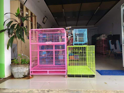 Mua bán chó mèo Buôn Ma Thuột - Boss Pet Shop BMT