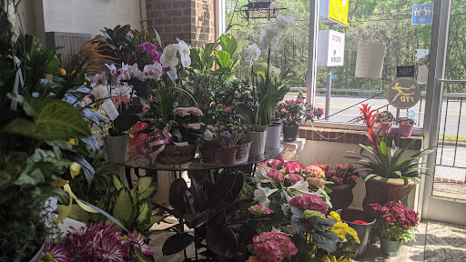 Florist «A Daisy A Day», reviews and photos, 749 Silas Creek Pkwy, Winston-Salem, NC 27127, USA
