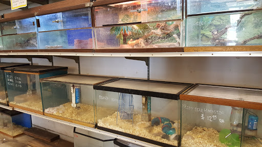 Pet Store «Foothill Aquatic & Pets», reviews and photos, 2349 Foothill Blvd, La Verne, CA 91750, USA