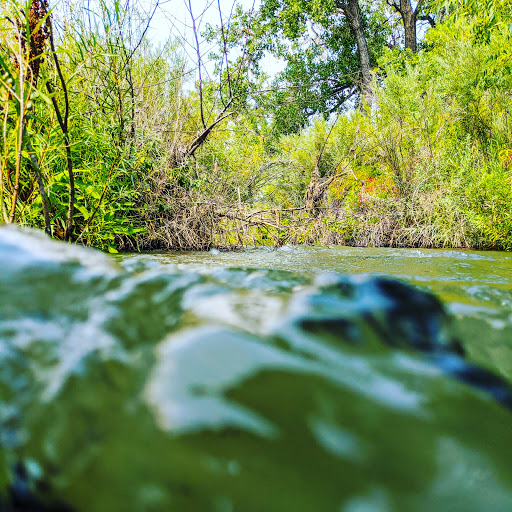 Park «Westminster City Park», reviews and photos, 10455 N Sheridan Blvd, Westminster, CO 80020, USA