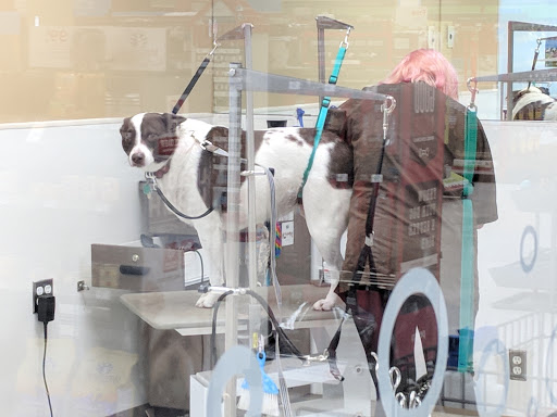 Pet Supply Store «Petco Animal Supplies», reviews and photos, 4950 S 76th St, Greenfield, WI 53220, USA