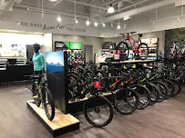 Trek Bicycle Fredericksburg - Car repair in Fredericksburg, VA, Fredericksburg - Rated 4.9/5