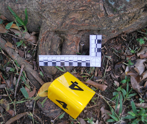 Asociacion Española de Veterinaria Forense (Avefo) en Madrid