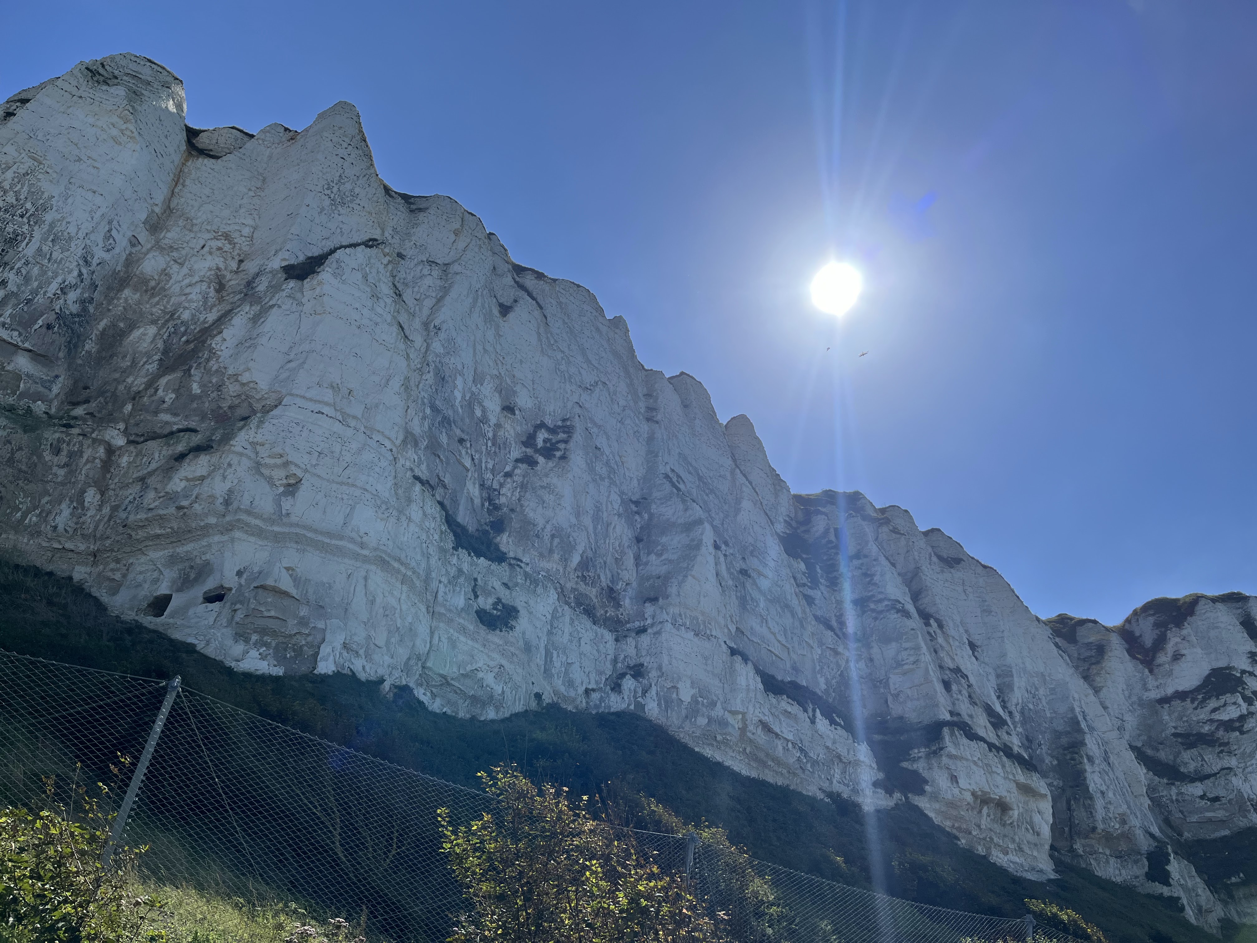 Photo n° 2 de l'avis de Felix.e fait le 24/08/2023 à 13:11