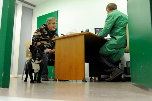 Pharmacies vétérinaires en Toulouse