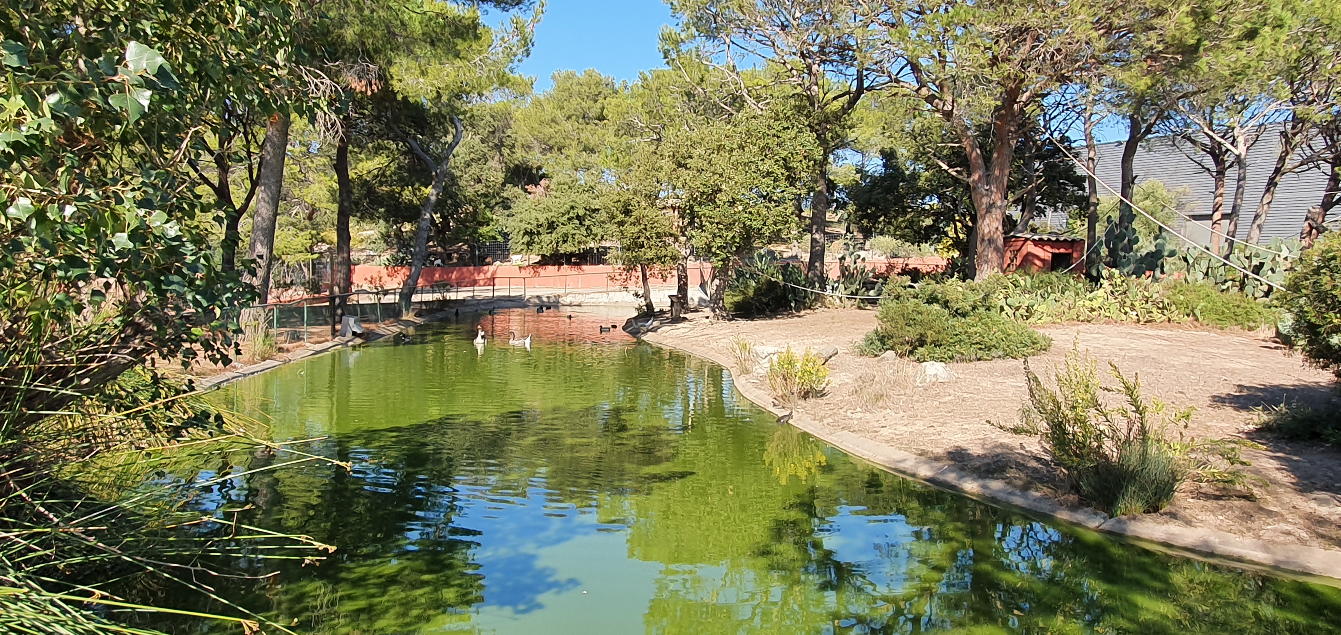 Photo n° 12 de l'avis de OLIVIER.E fait le 25/10/2021 à 16:15