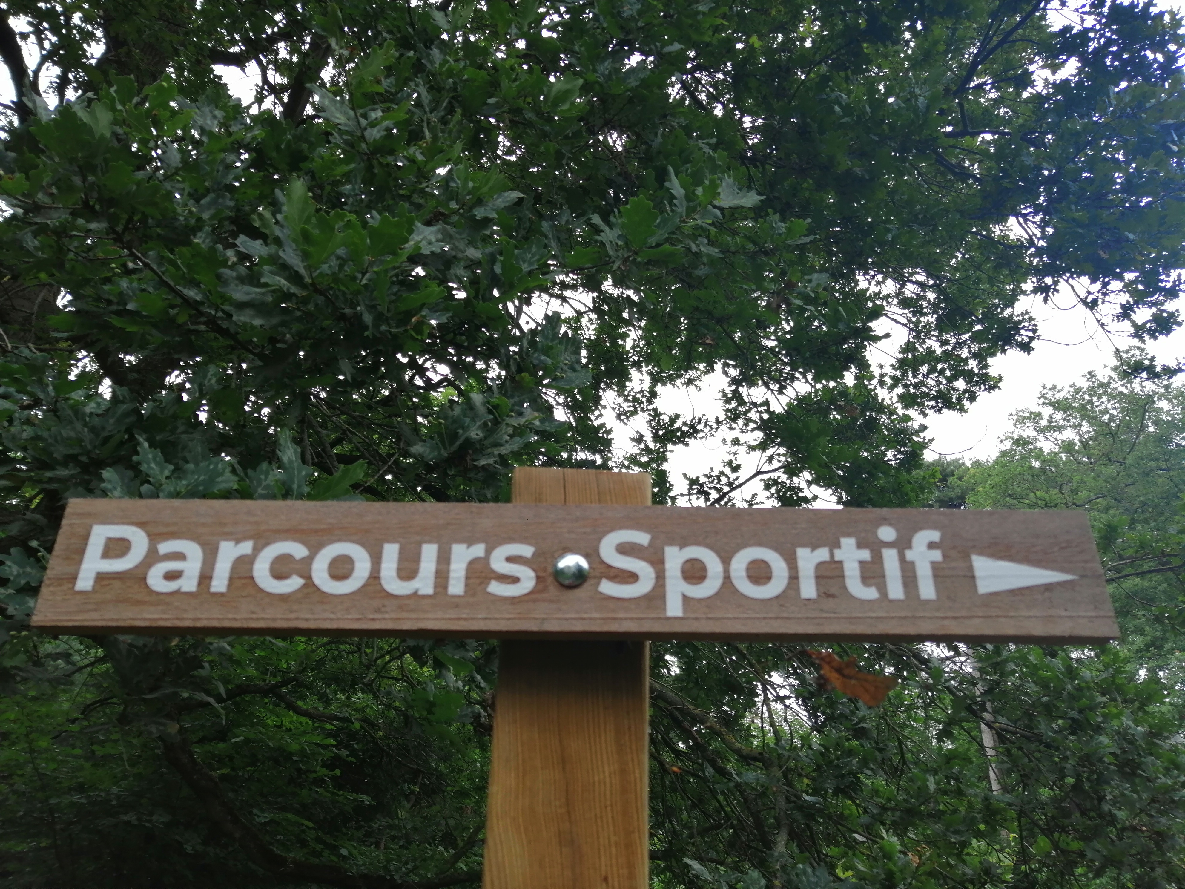 Photo n° 3 de l'avis de Bhel.O fait le 16/08/2021 à 22:29