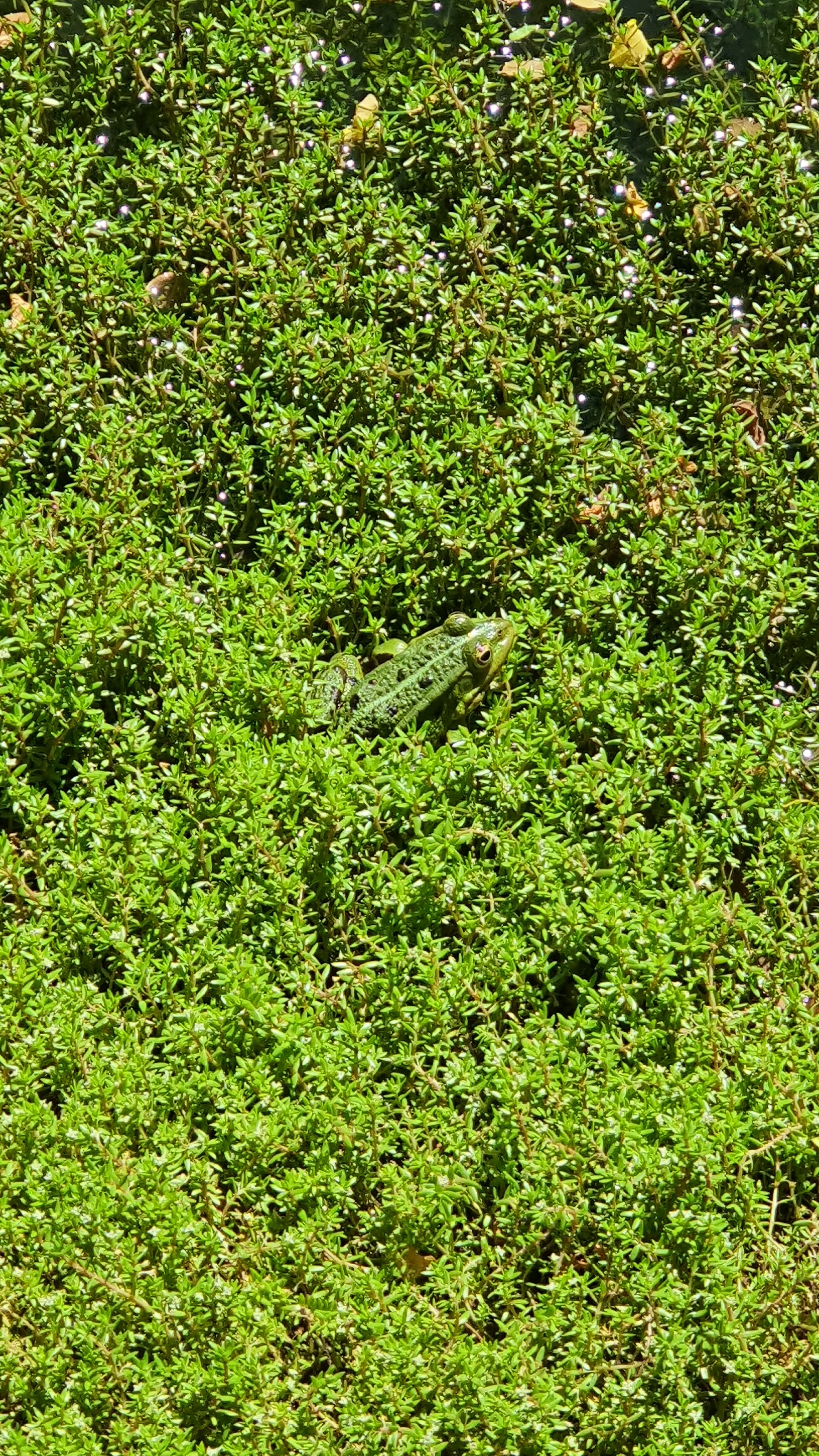 Photo n° 23 de l'avis de jean.u fait le 07/08/2022 à 13:53
