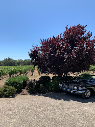 Winery «James Cole Winery», reviews and photos, 5014 Silverado Trail, Napa, CA 94558, USA