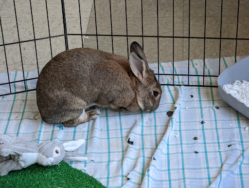 Nature Preserve «Lake Roland Nature Council», reviews and photos, 1000 Lakeside Dr, Baltimore, MD 21210, USA