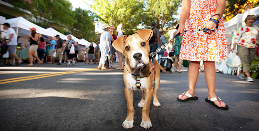 Pet Supply Store «Paw Paws USA», reviews and photos, 6 W McBee, Greenville, SC 29601, USA