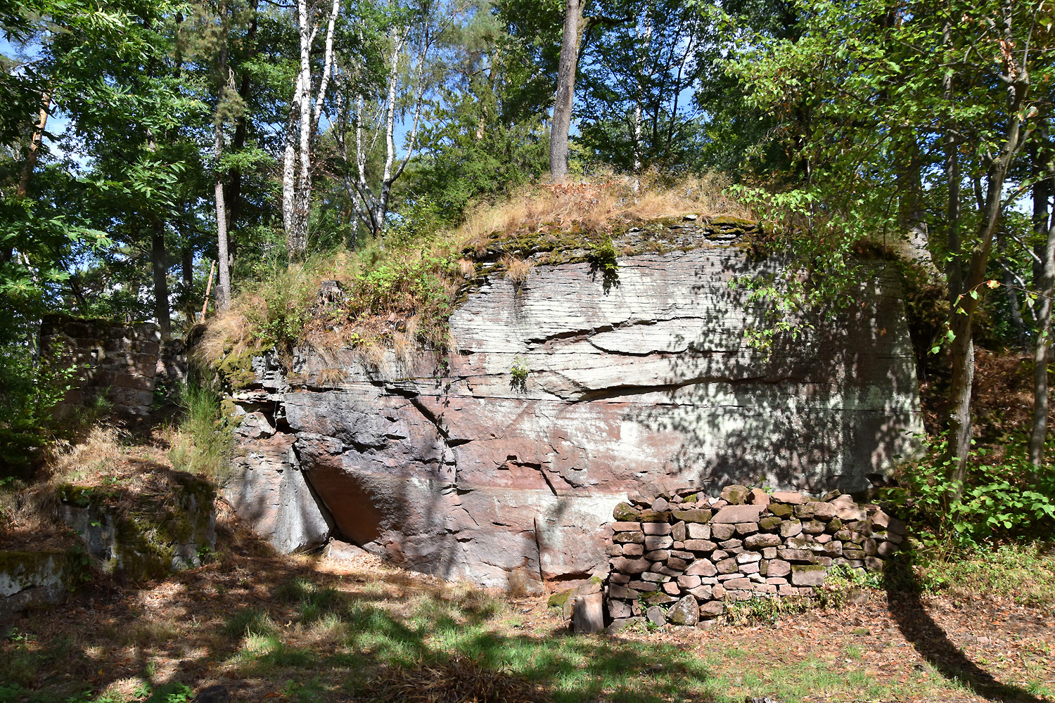 Photo n° 4 de l'avis de Juergen.r fait le 21/09/2022 à 07:37