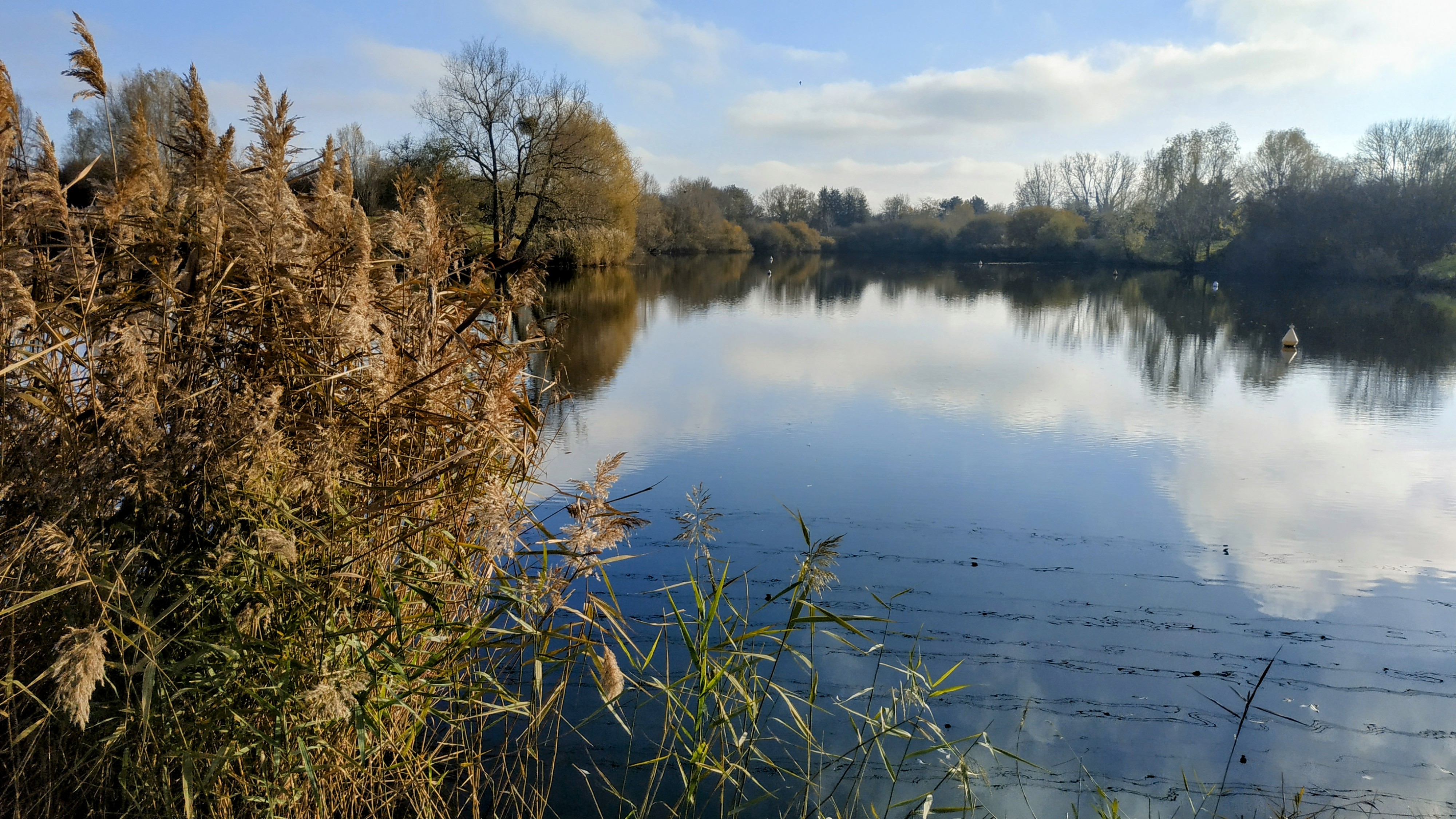 Photo n° 12 de l'avis de The.a fait le 11/12/2022 à 15:45