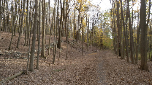 State Park «Goosepond Mountain State Park», reviews and photos, 1198 New York 17M, Chester, NY 10918, USA