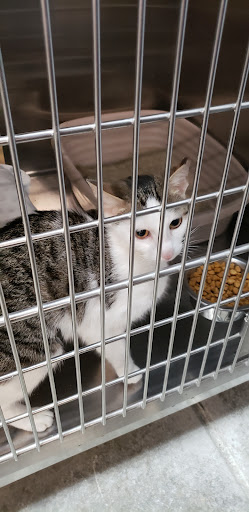 Pet Supply Store «PetSmart», reviews and photos, 215 N Burkhardt Rd, Evansville, IN 47715, USA