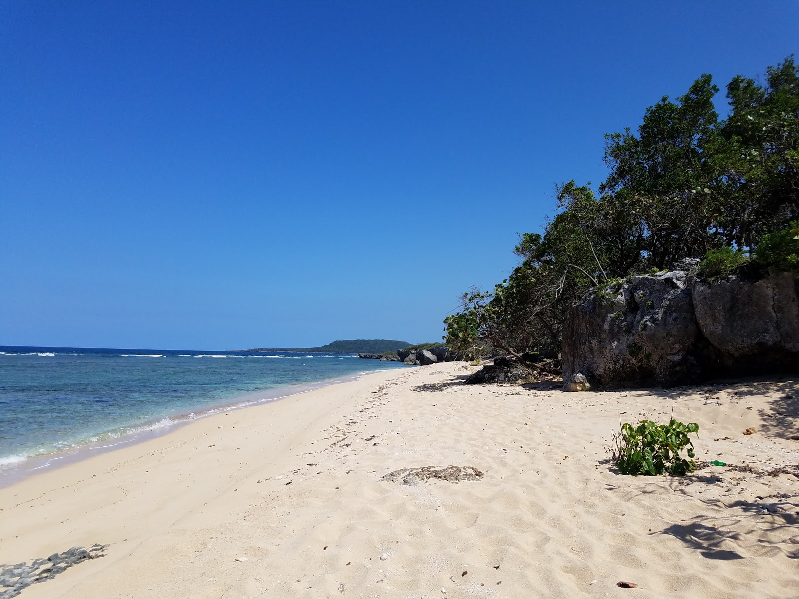 Playa Chiquita La Rucia的照片 带有碧绿色纯水表面