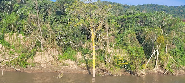 Lavandería Nayumita