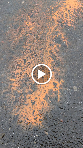 Tattoo Shop «Vanity Rites Tattoo & Body Art», reviews and photos, 104 Center St, Southington, CT 06489, USA