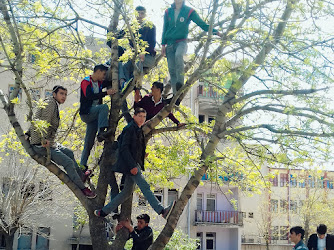 Bekir Aral Lisesi