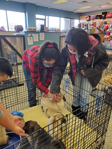 Pet Supply Store «Pet Ranch», reviews and photos, 3823 E 120th Ave, Denver, CO 80233, USA