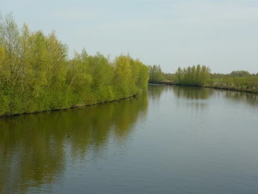 La Lys (Rivière Canalisée)