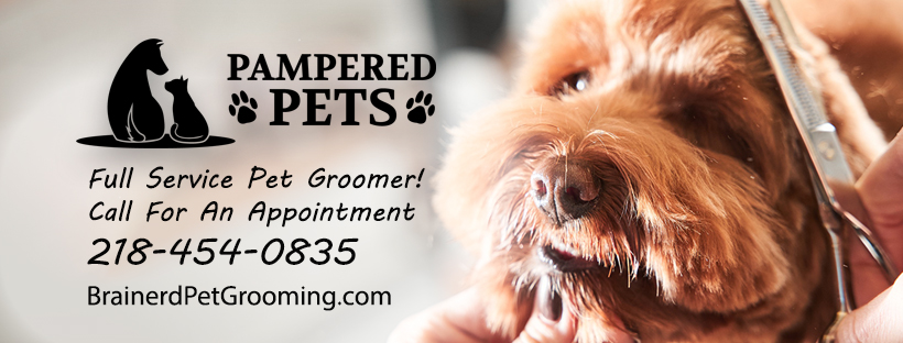 Pet Grooming By Pampered Pets