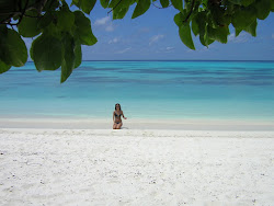 Photo de Velidhu Island Resort zone de l'hôtel
