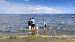 Foto de Dog Friendly Beach área de comodidades