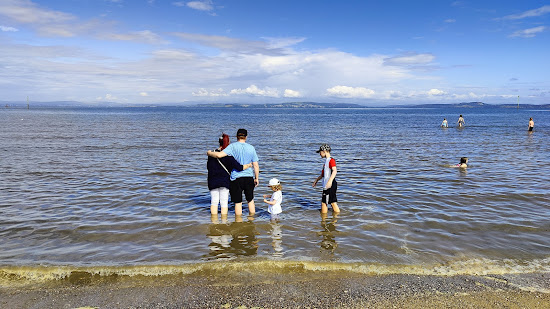 Dog Friendly Beach