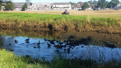 Golf Course «Seaside Golf Course», reviews and photos, 451 Avenue U, Seaside, OR 97138, USA