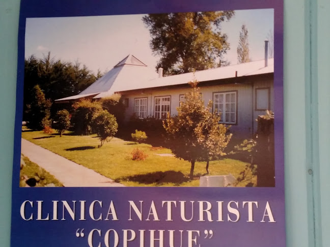 Opiniones de Centro Naturista Copihue - Licandeo en Frutillar - Centro naturista