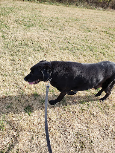 Dog Park «Perry Paw Dog Park», reviews and photos, 9033 Honeygo Blvd, Perry Hall, MD 21128, USA