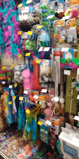 Pet Supply Store «PetSmart», reviews and photos, 1671 E Market St, Harrisonburg, VA 22801, USA