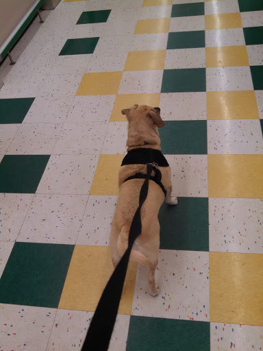 Pet Supply Store «Pet Supplies Plus», reviews and photos, 2424 W State St, Alliance, OH 44601, USA