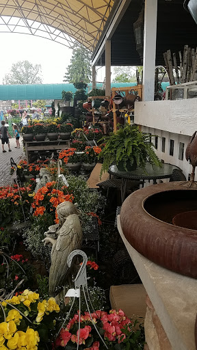 Plant shops in Columbus