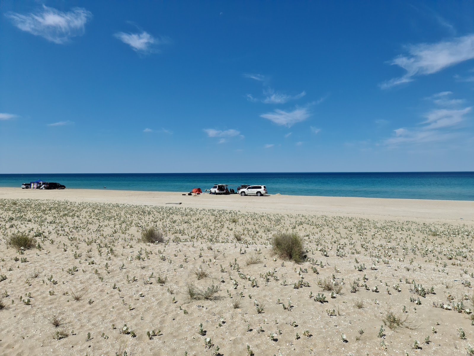 Foto de Alau beach com areia bege superfície