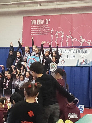 Gymnastics Center «C.I.T.Y. Club Gymnastics Academy», reviews and photos, 1723 S Michigan Ave, Chicago, IL 60616, USA