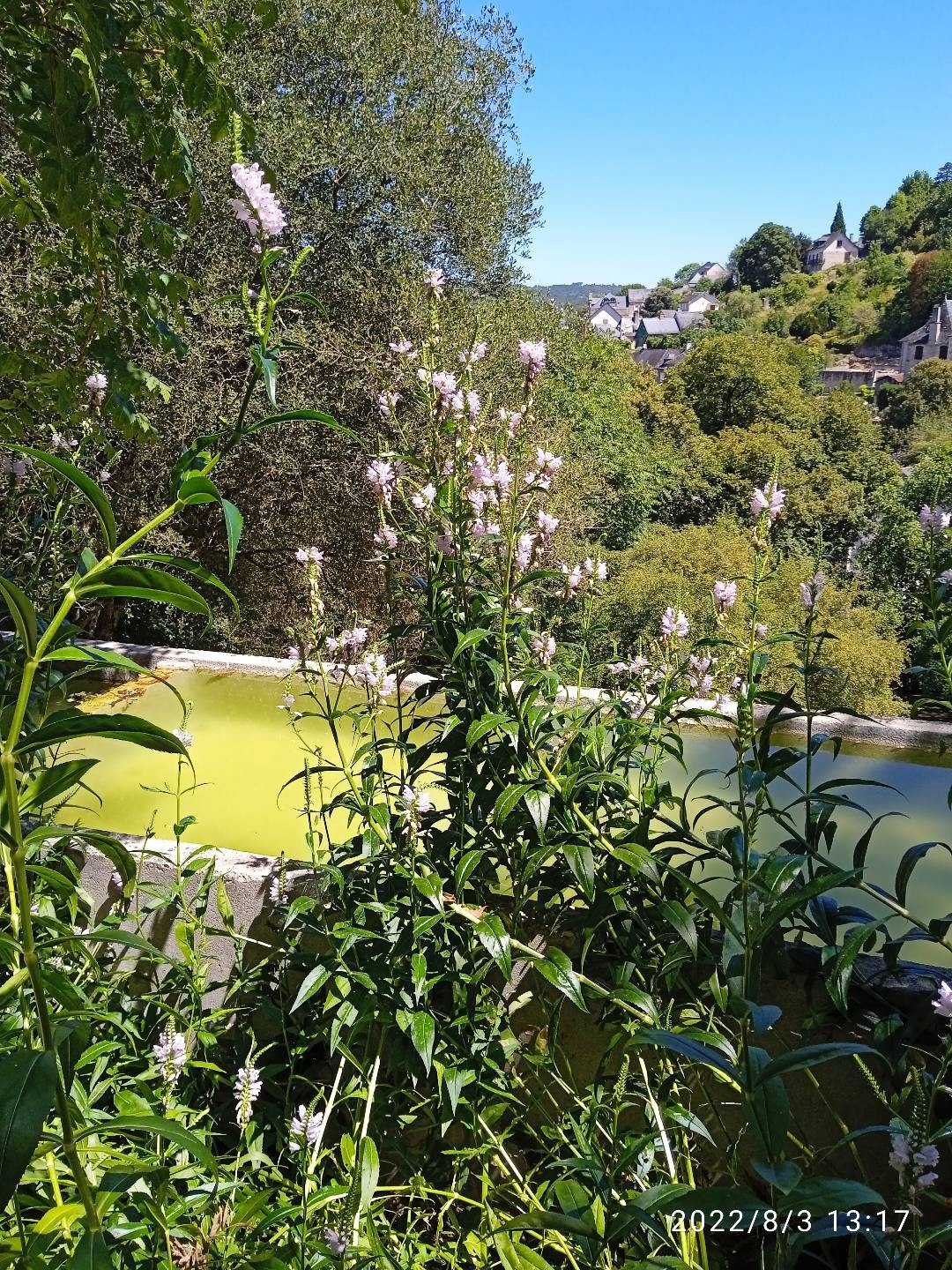 Photo n° 24 de l'avis de Laetitia.b fait le 10/08/2022 à 08:22
