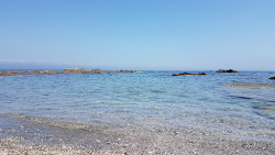 Playa Calamocarro'in fotoğrafı vahşi alan