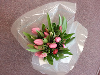 Elegant Tailor & Cleaners - Photo 9 - Car repair in Cambridge, MA, Boston